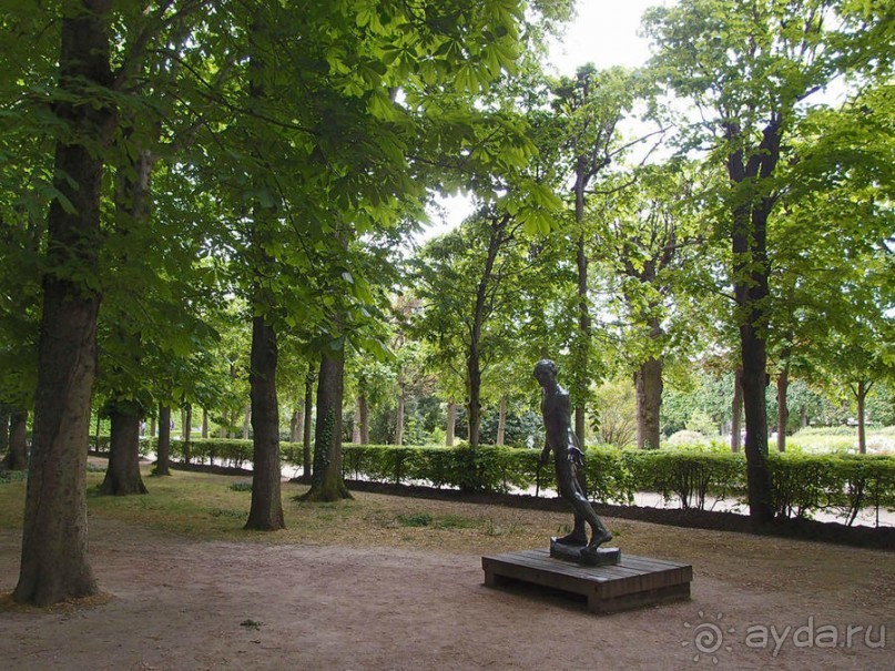 Застывшие мгновения