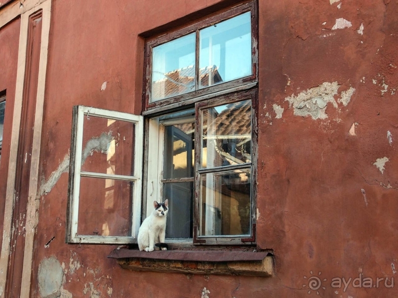 Старинная Кулдига — лучше любых декораций