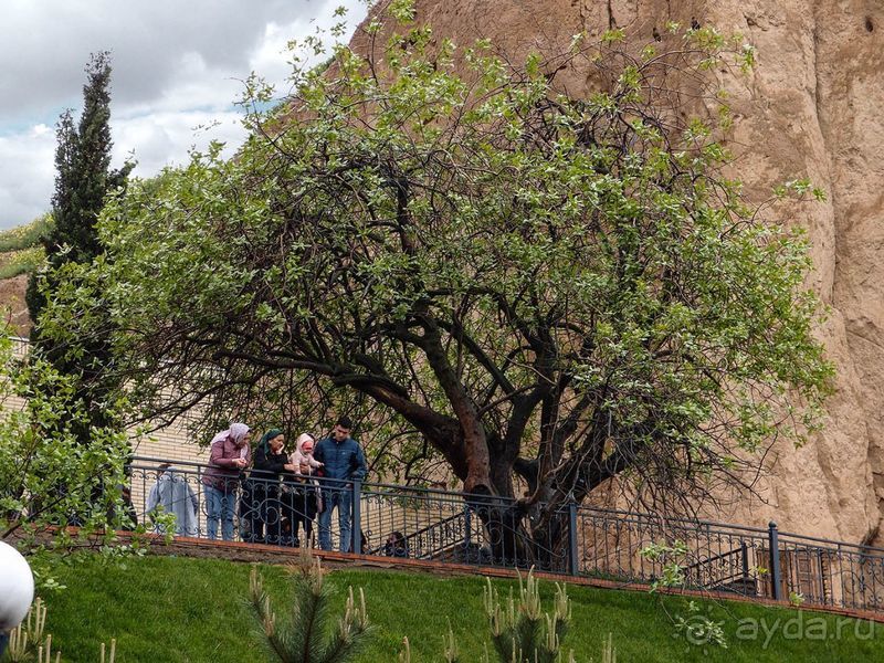 Долгий день в дождливом Самарканде Долгий день в дождливом Самарканде