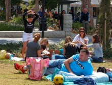 Островок Сарона