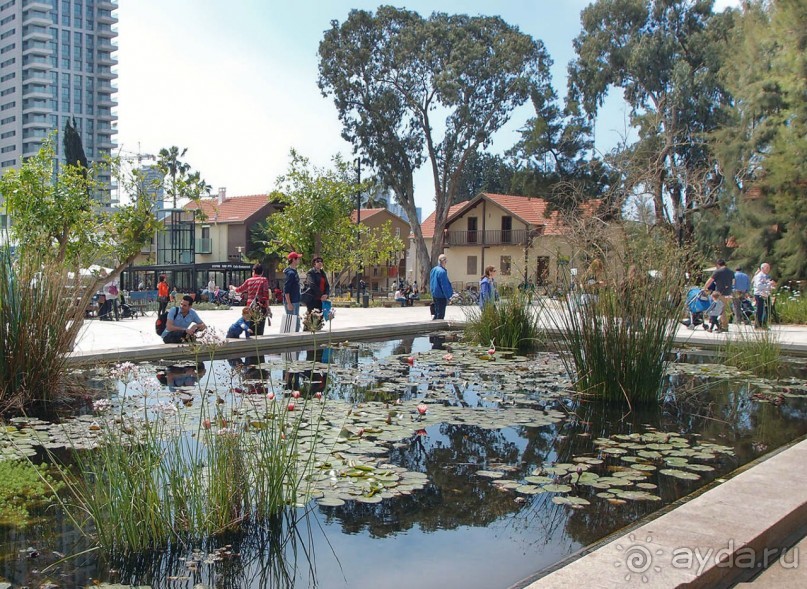 Островок Сарона