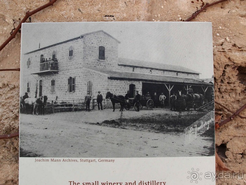 Островок Сарона