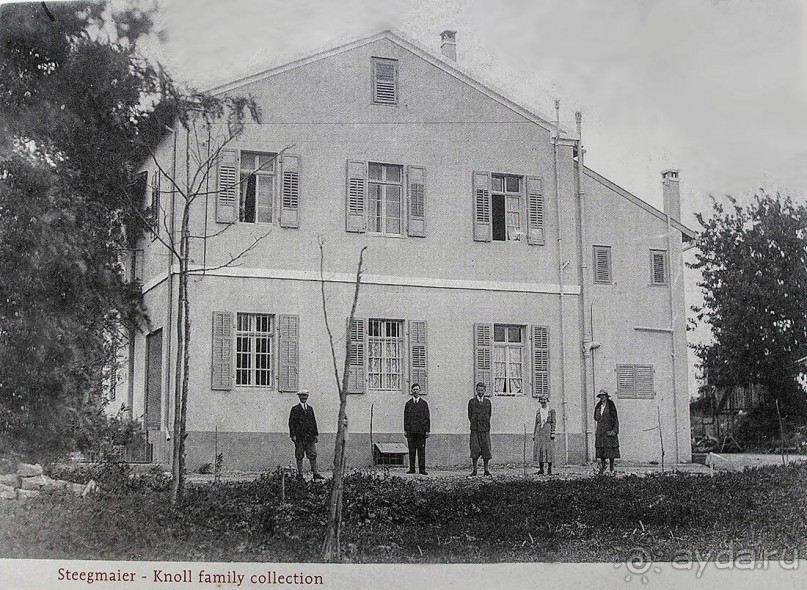 Островок Сарона