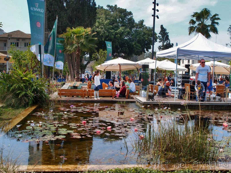 Островок Сарона