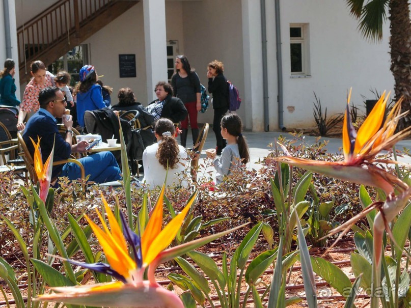 Островок Сарона