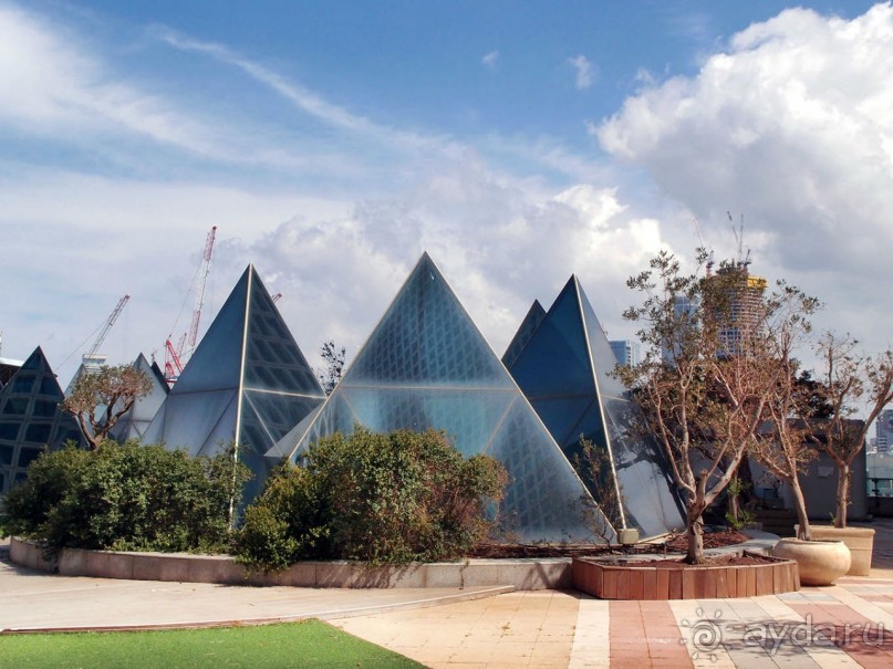 Островок Сарона