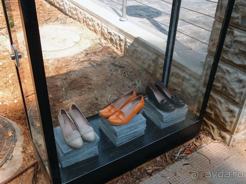 Островок Сарона