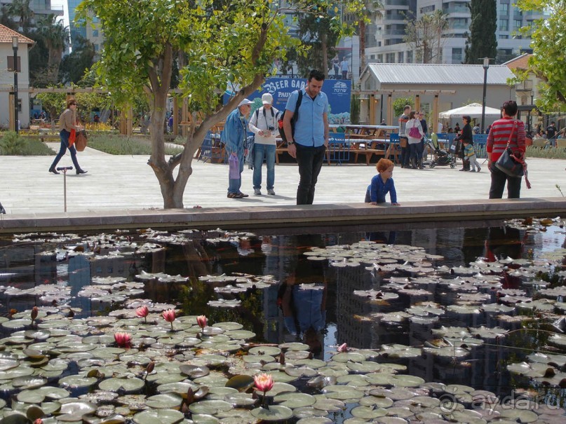 Островок Сарона