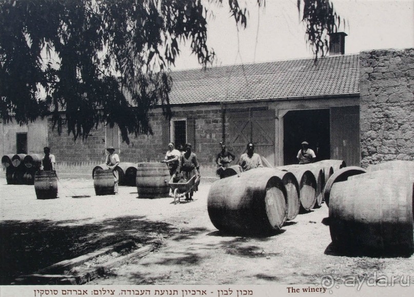 Островок Сарона