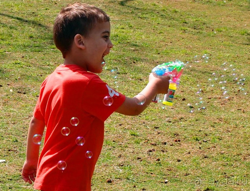 Островок Сарона