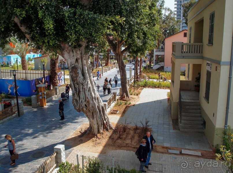 Островок Сарона