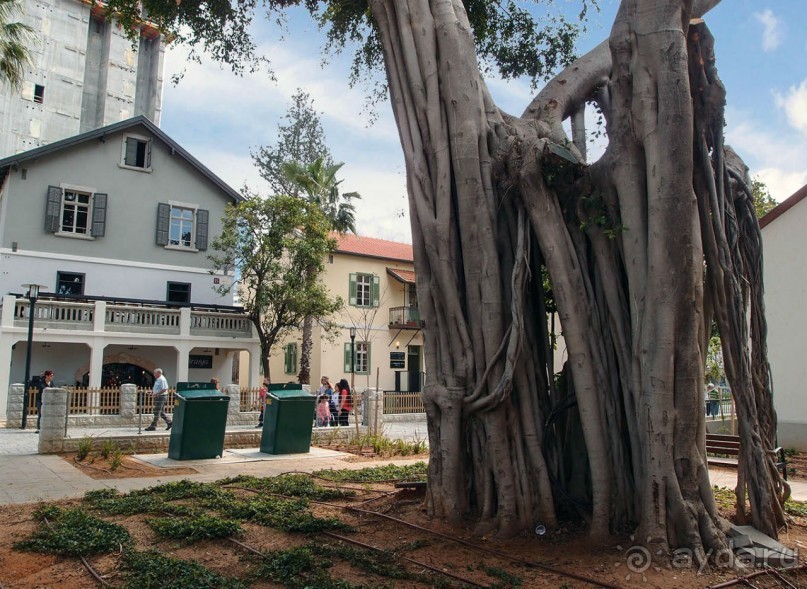 Островок Сарона