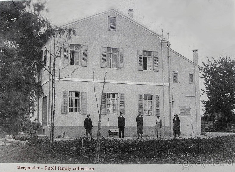 Островок Сарона