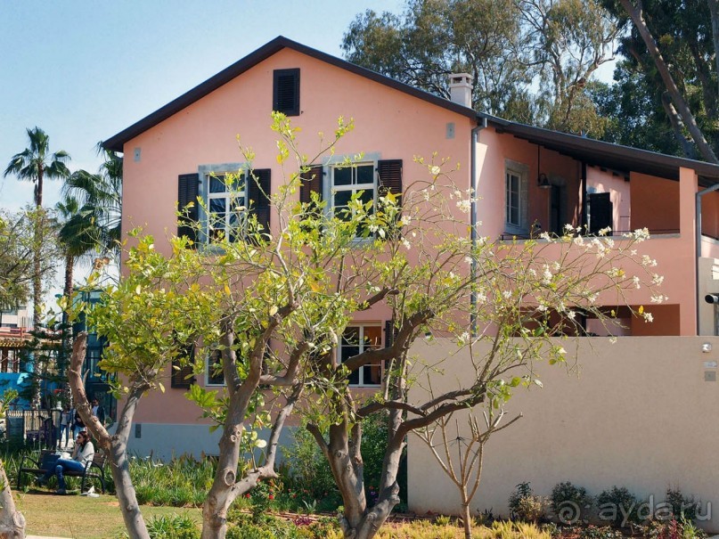 Островок Сарона