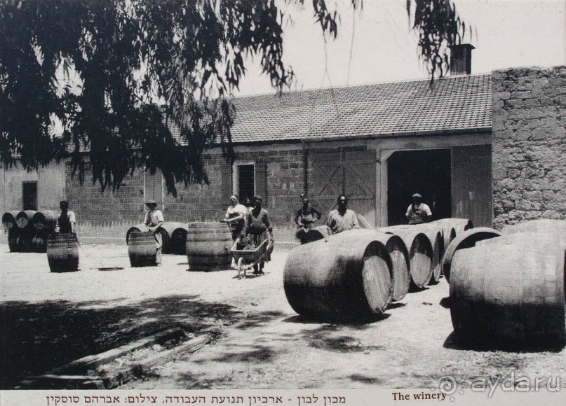 Островок Сарона