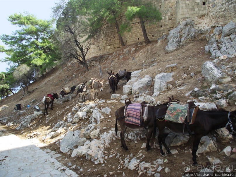 Бухты и панорамы