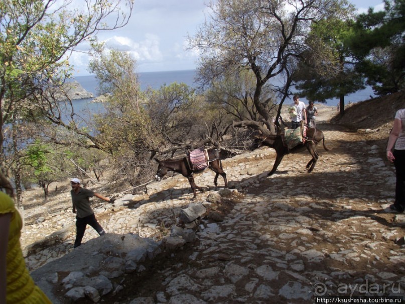 Бухты и панорамы