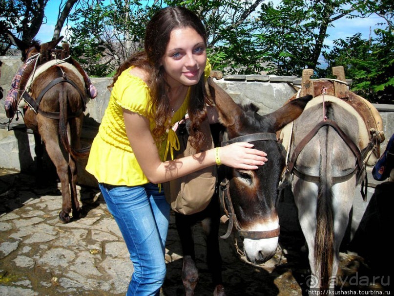 Бухты и панорамы