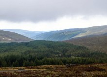 фото Карлоу