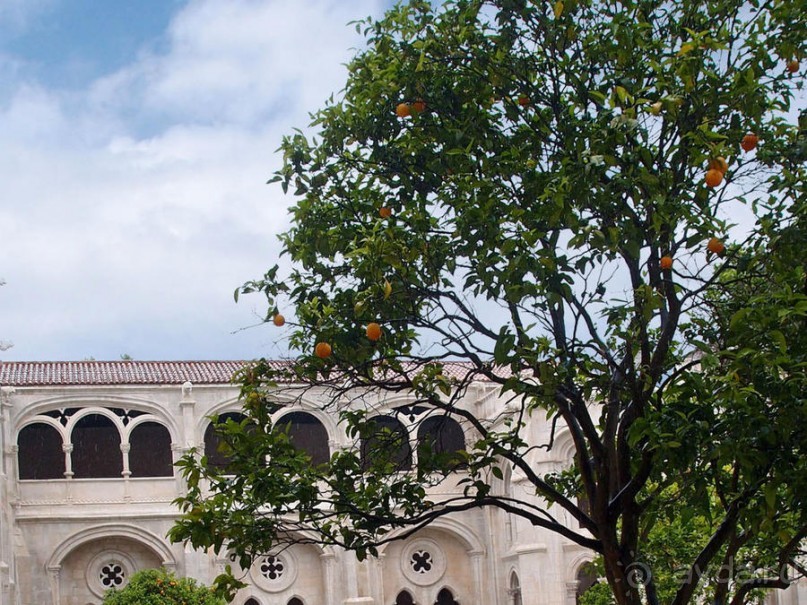 Алкобаса. Средневековый триллер о любви