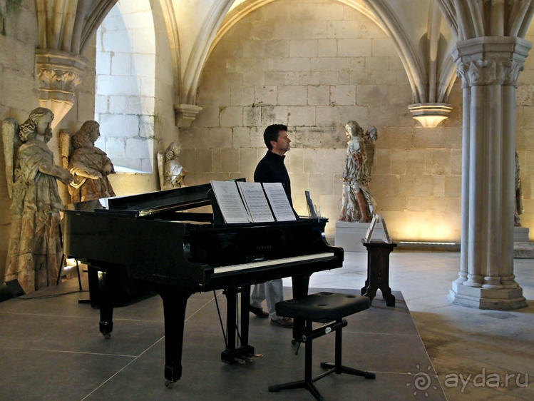 Алкобаса. Средневековый триллер о любви