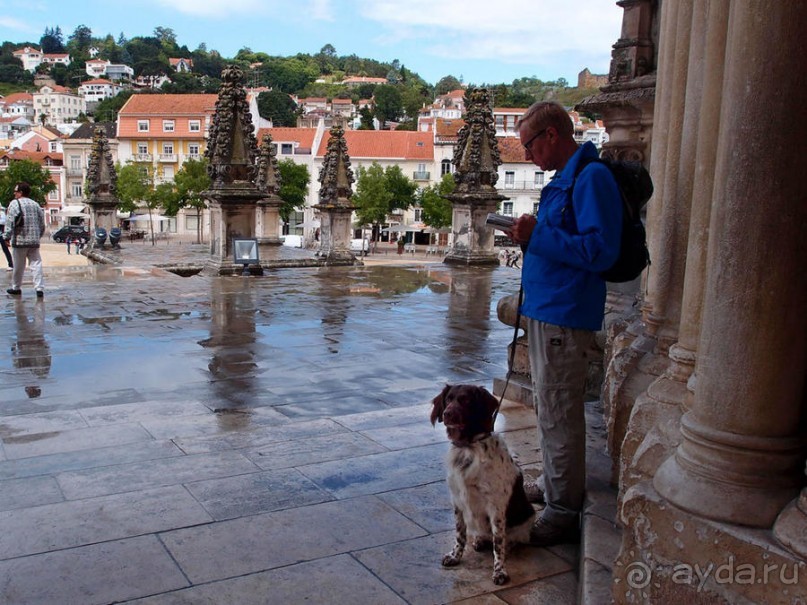 Алкобаса. Средневековый триллер о любви