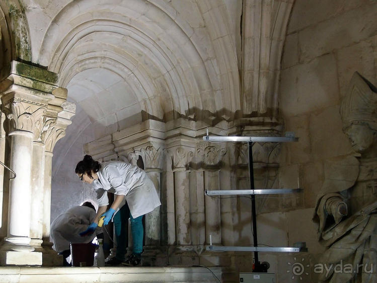 Алкобаса. Средневековый триллер о любви