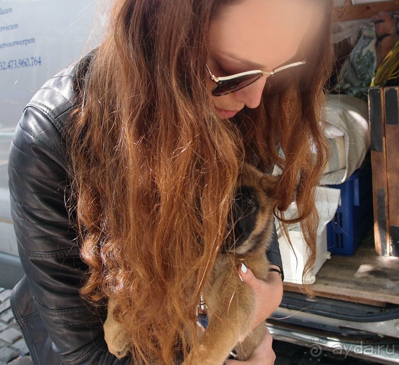 Гент III Душевный