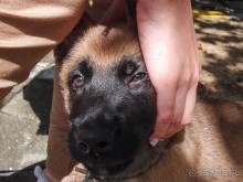 Гент III Душевный