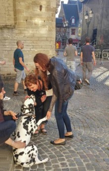 Альбом отзыва "Дважды восемь от Брюгге до Брюгге"