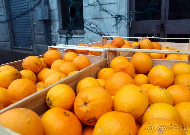 Ивреа перед боем