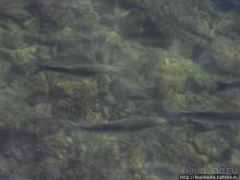 Древний порт Акко