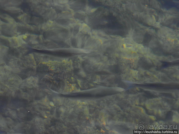 Древний порт Акко