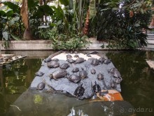 На мадридской сковородке