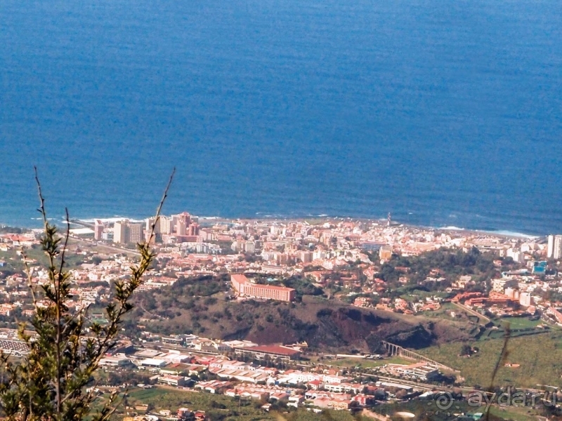 Альбом истории "Времена года в парке Тейде"