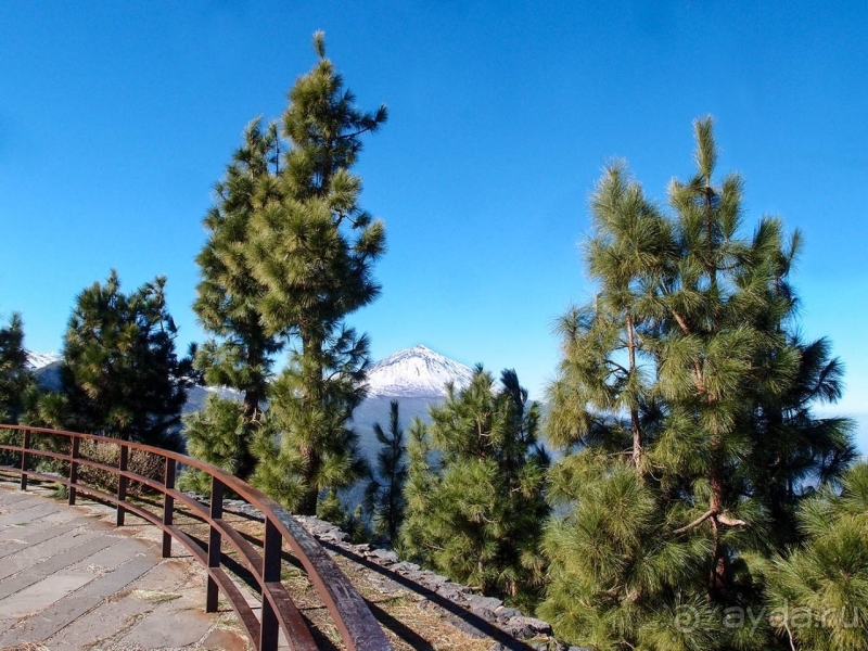 Альбом истории "Времена года в парке Тейде"