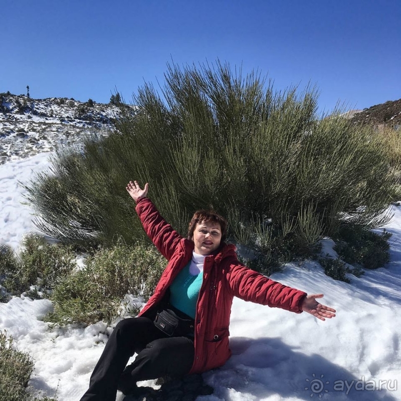 Альбом истории "Времена года в парке Тейде"