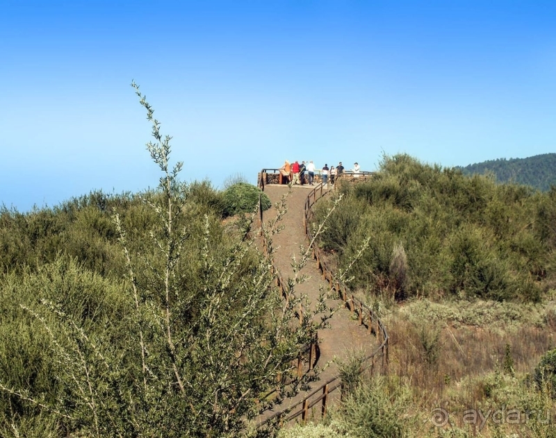 Альбом истории "Времена года в парке Тейде"