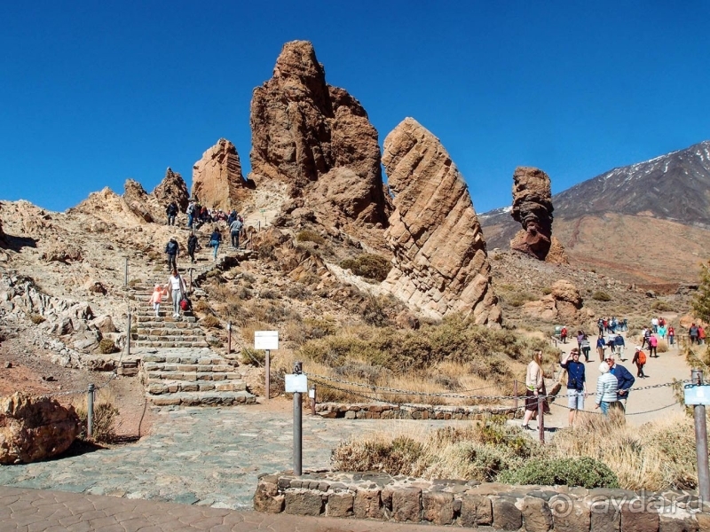 Альбом истории "Времена года в парке Тейде"