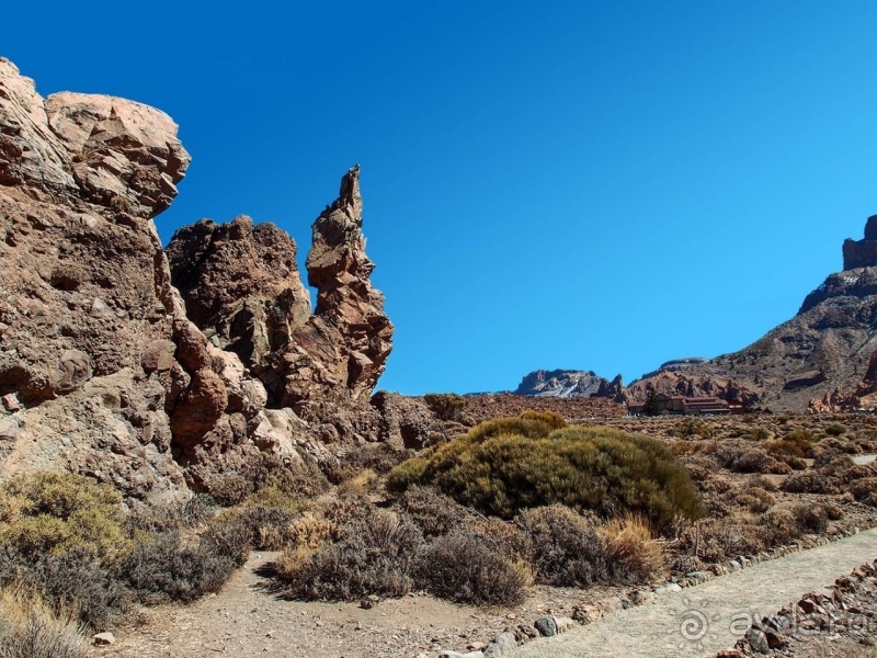Альбом истории "Времена года в парке Тейде"