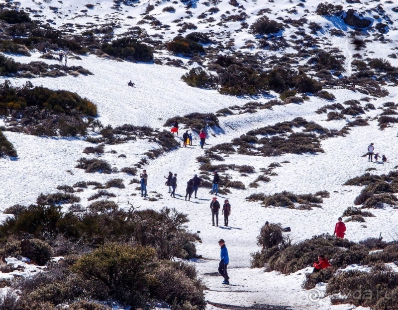 Альбом истории "Времена года в парке Тейде"