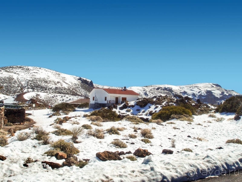 Альбом истории "Времена года в парке Тейде"