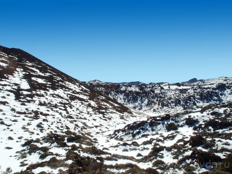 Альбом истории "Времена года в парке Тейде"