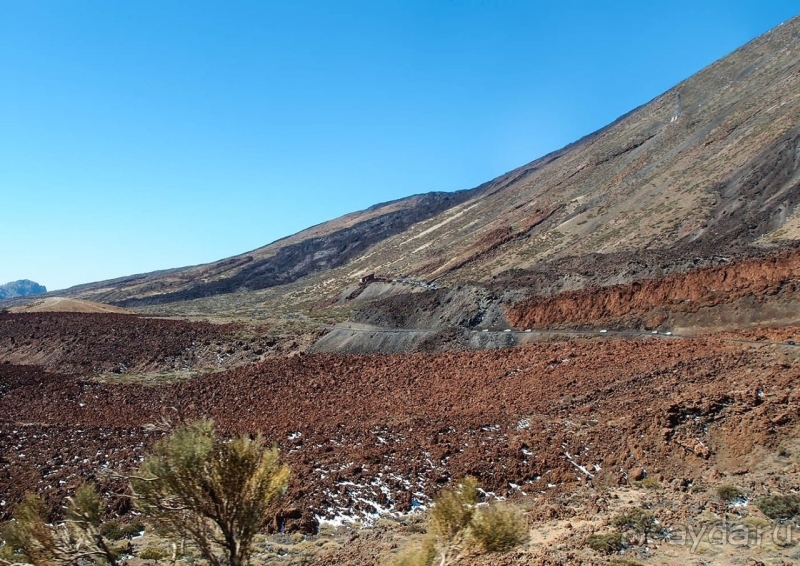 Альбом истории "Времена года в парке Тейде"