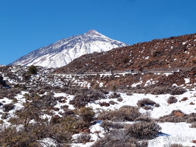Альбом истории "Времена года в парке Тейде"