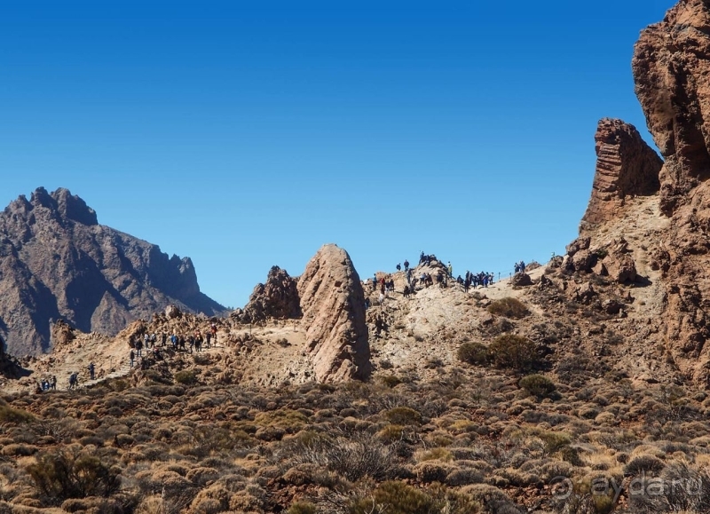 Альбом истории "Времена года в парке Тейде"