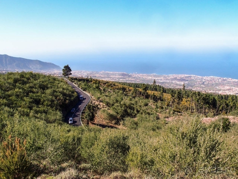 Альбом истории "Времена года в парке Тейде"