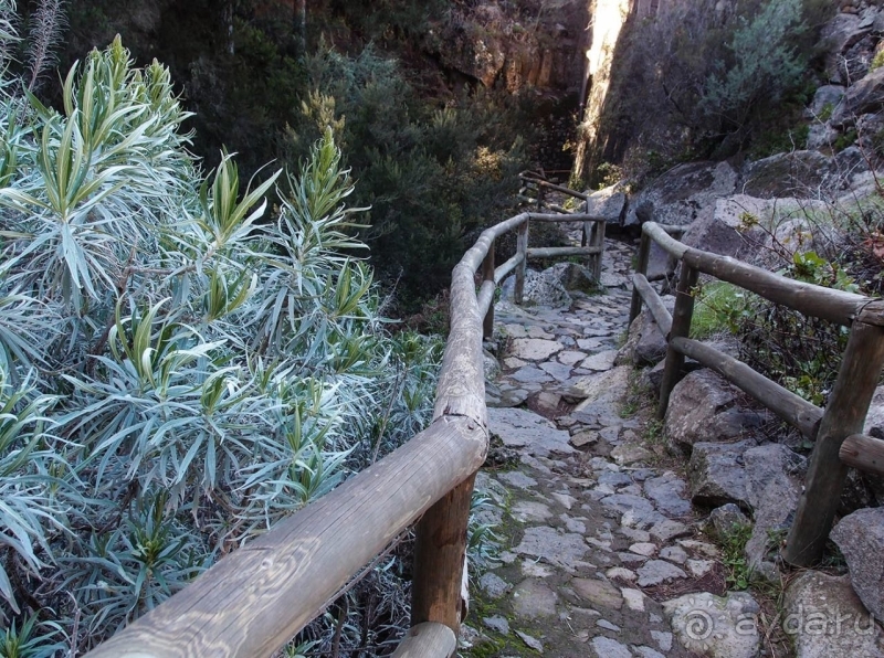 Альбом истории "Времена года в парке Тейде"