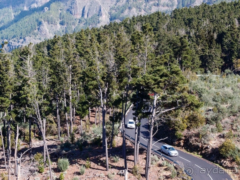 Альбом истории "Времена года в парке Тейде"