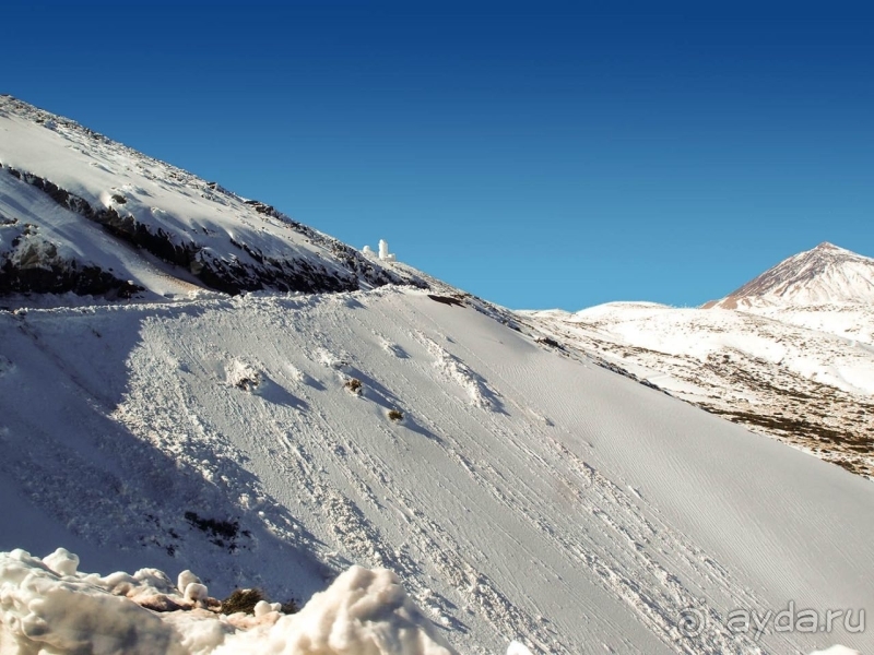 Альбом истории "Времена года в парке Тейде"